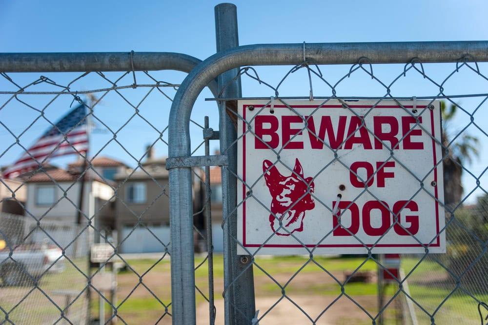 Chicago dog bite lawyer providing legal help after an attack.