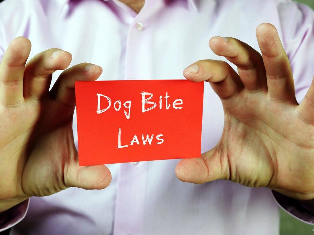 Injured dog bite victim receiving legal support from a personal injury firm.
 